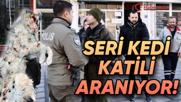 KEDİLERİ, ‘AŞK VE BAĞLAMA’ BÜYÜSÜ İÇİN KESMİŞLER