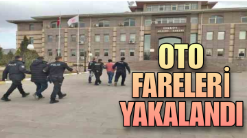 OTO FARELERİ, 300 SAATLİK KAYDIN İNCELENMESİ İLE YAKALANDI