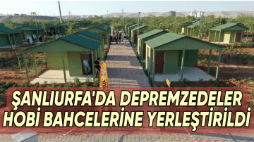ŞANLIURFA’DA DEPREMZEDELER HOBİ BAHÇELERİNE YERLEŞTİRİLDİ