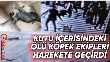 OTOBÜSTE HAVASIZ KALAN KÖPEK ÖLDÜ