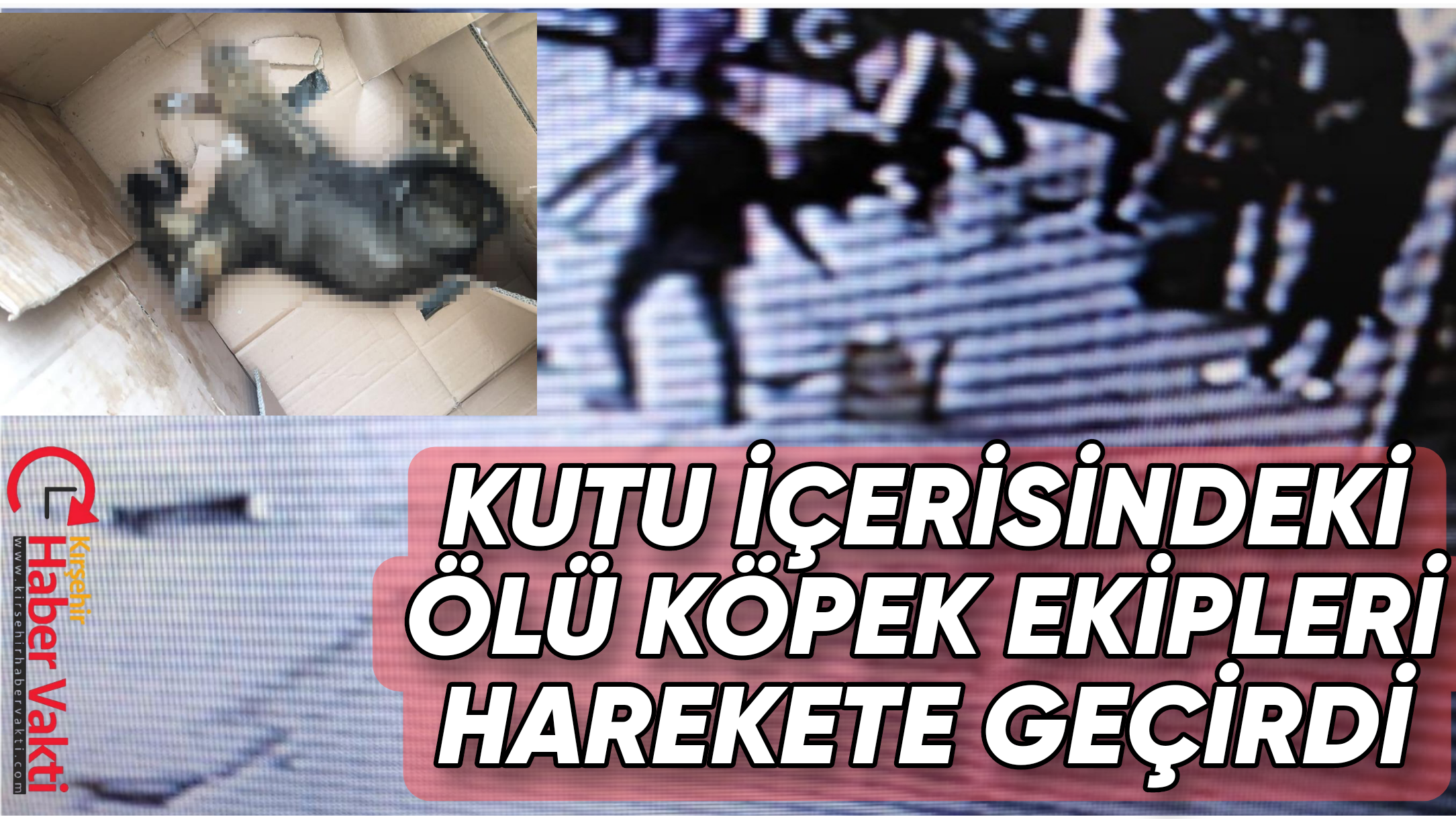 OTOBÜSTE HAVASIZ KALAN KÖPEK ÖLDÜ
