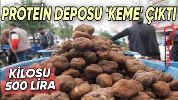 KIRŞEHİR’DE ‘KEME’ SEZONU BAŞLADI