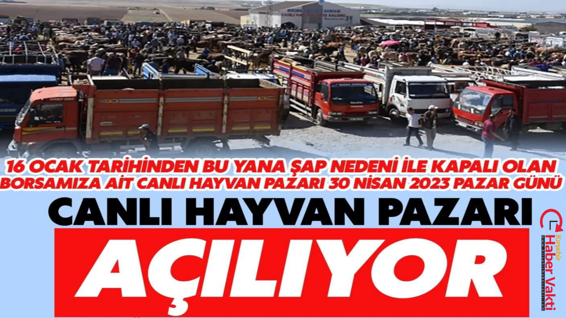 CANLI HAYVAN PAZARI 30 NİSAN’DA AÇILIYOR