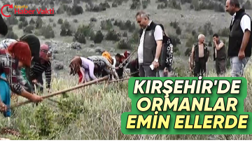 KIRŞEHİR ORMAN İŞLETME MÜDÜRLÜĞÜ ORMANLIK ALANLARIN BAKIMINI AKSATMIYOR