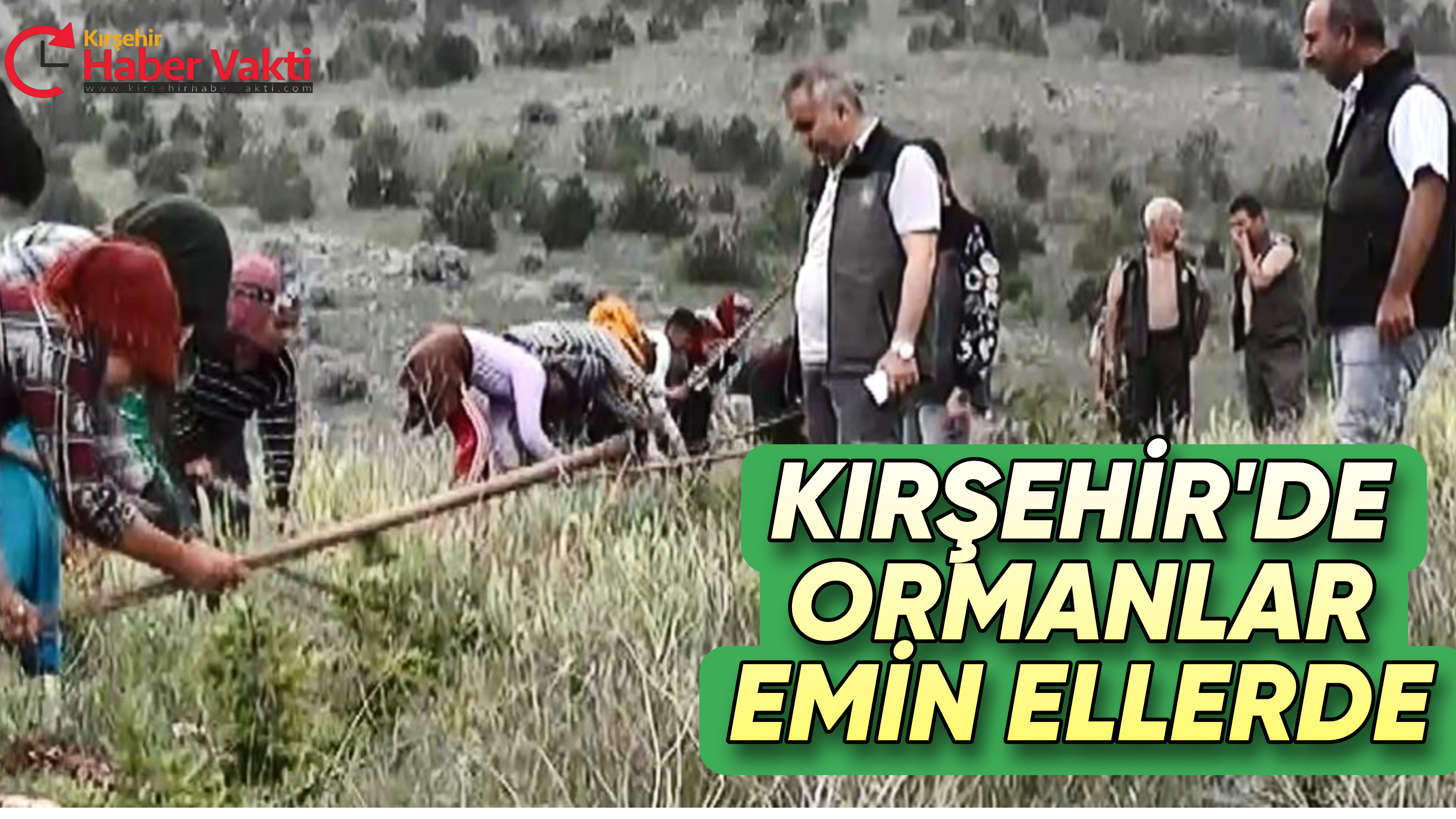 KIRŞEHİR ORMAN İŞLETME MÜDÜRLÜĞÜ ORMANLIK ALANLARIN BAKIMINI AKSATMIYOR