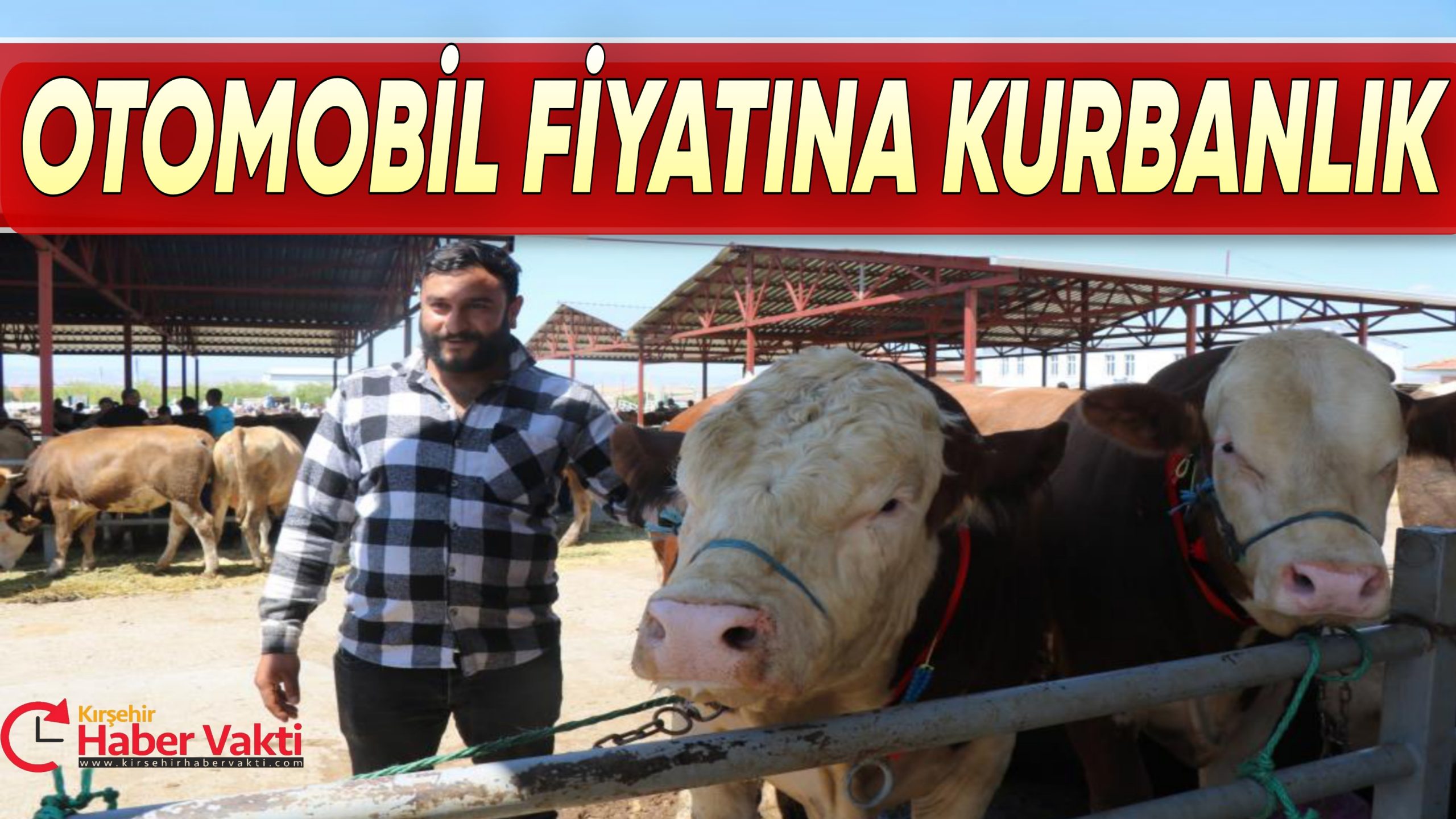 KIRŞEHİR’DE OTOMOBİL FİYATINA KURBANLIK