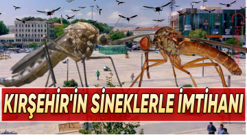 KENT MERKEZİNDE SİVRİSİNEK MAĞDURİYETİ
