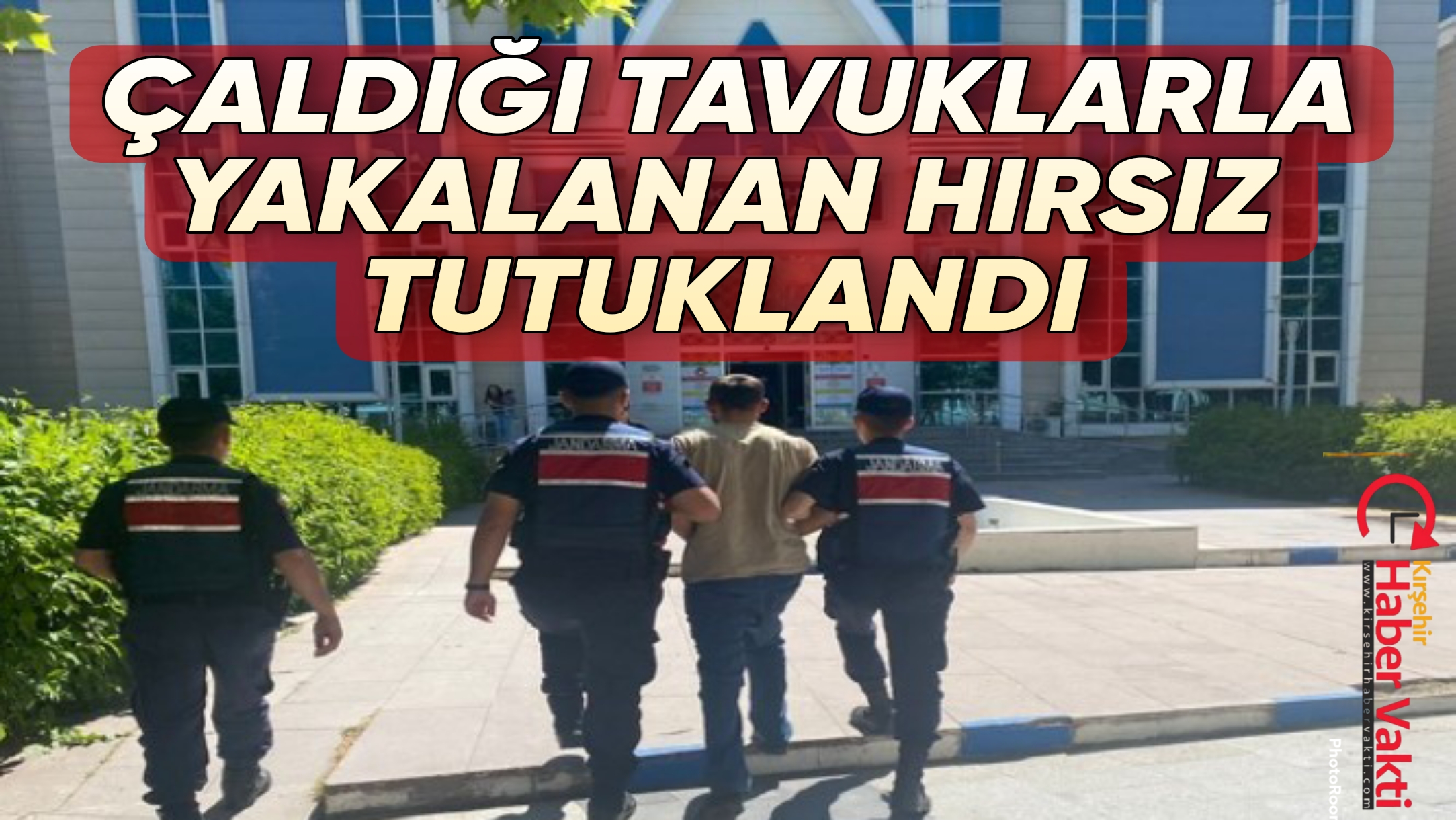 KIRŞEHİR’DE JANDARMA TAVUK HIRSIZINI YAKALADI