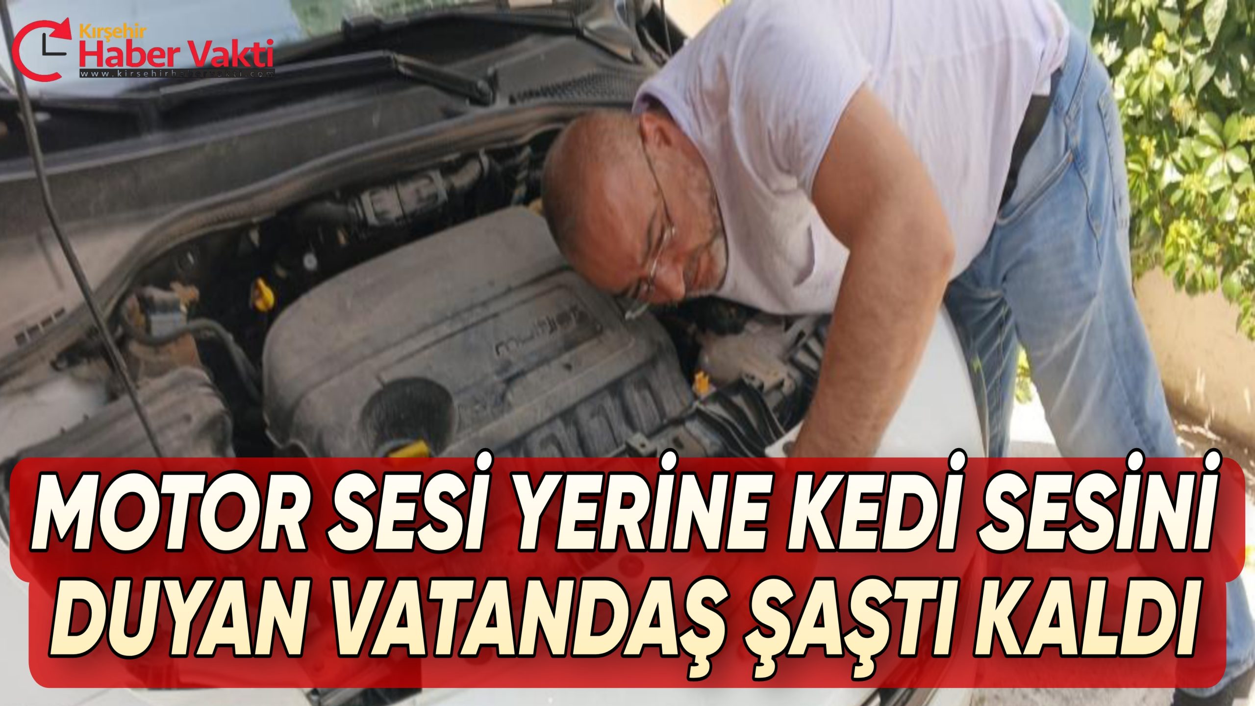 OTOMOBİLİN KAPUTUNA GİREN KEDİ BİR TÜRLÜ ÇIKMAK BİLMEDİ