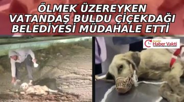 ÖLMEK ÜZEREYDİ ŞİMDİ HAYATA TUTUNUYOR