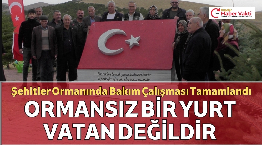 KIRŞEHİR’DE ŞEHİTLER ORMANI AĞAÇLARI YENİLENDİ