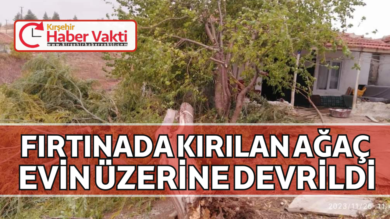 KIRŞEHİR’DE BİR EVİN ÜZERİNE AĞAÇ DEVRİLDİ