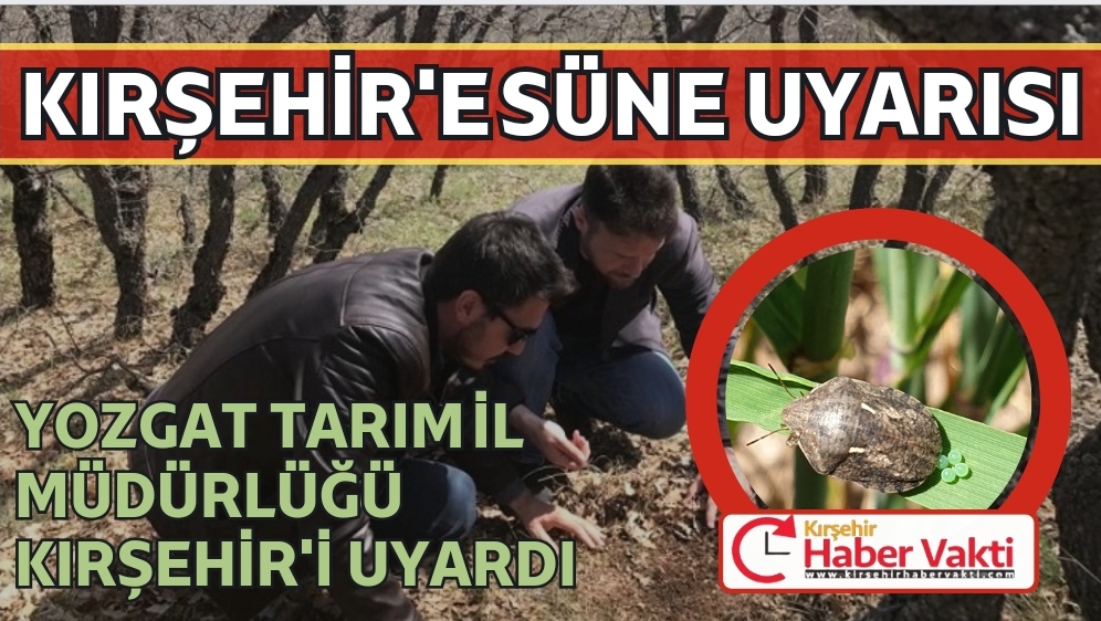 Yozgat’ta Bitkisel Üretim ve Bitki Sağlığı Şube Müdürlüğü ekipleri,süne ile