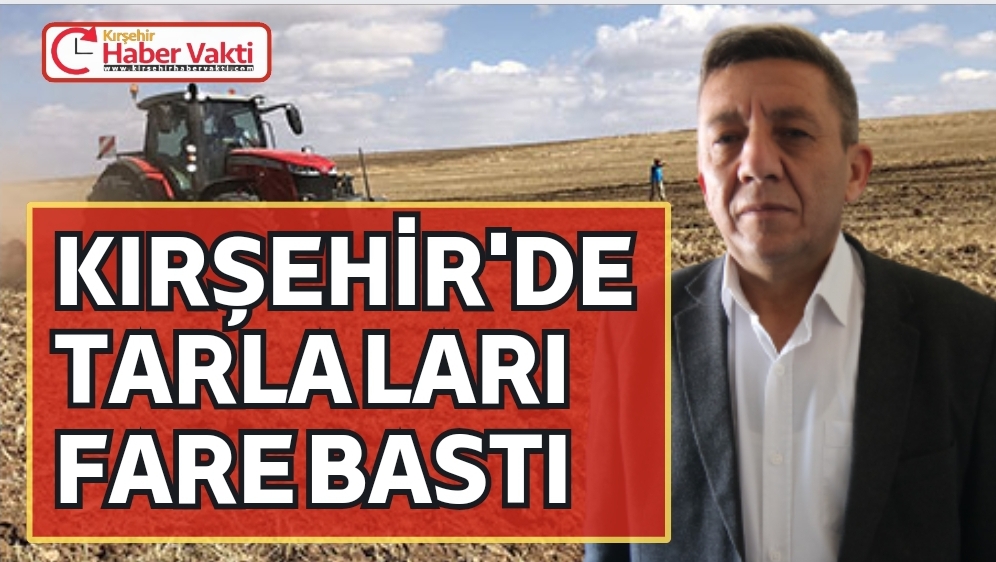 Kırşehir Ziraat Odası Başkanı Mevlüt Toprak, tarımda tohum sezonunun başlamasıyla