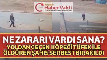SOKAK KÖPEĞİNİ TEK KURŞUNLA ÖLDÜRDÜ