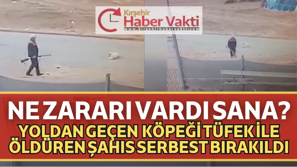Kırıkkale’nin Delice ilçesinde sokak köpeğini av tüfeğiyle öldüren yaşlı adam