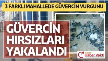 GÜVERCİN HIRSIZLARI YAKALANDI