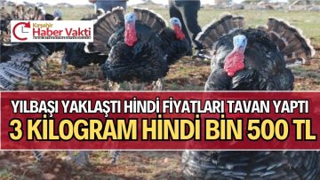 YILBAŞI DOLAYISIYLA HİNDİYE TALEP ARTTI.
