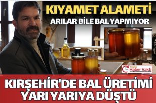 KIRŞEHİR’DE ARILARIN BAL ÜRETİMİ YARI YARIYA DÜŞTÜ