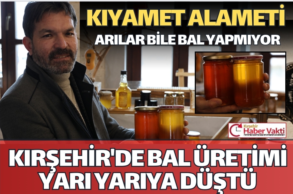 Kırşehir’de Zanaatkarlar Çarşısı’nda arıcılık yapan üretici, arıların bal üretiminde geçen