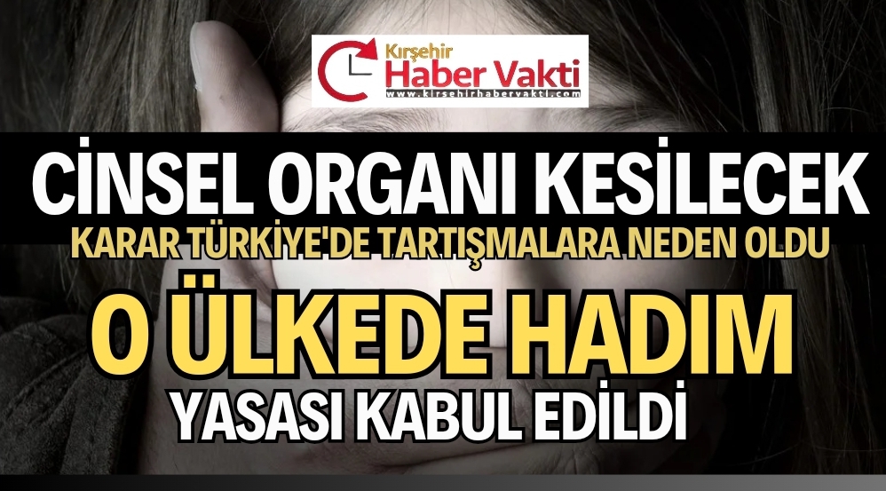 KİMYASAL HADIM YETERLİ GELMEDİ CİNSEL ORGANLARI KESİLECEK