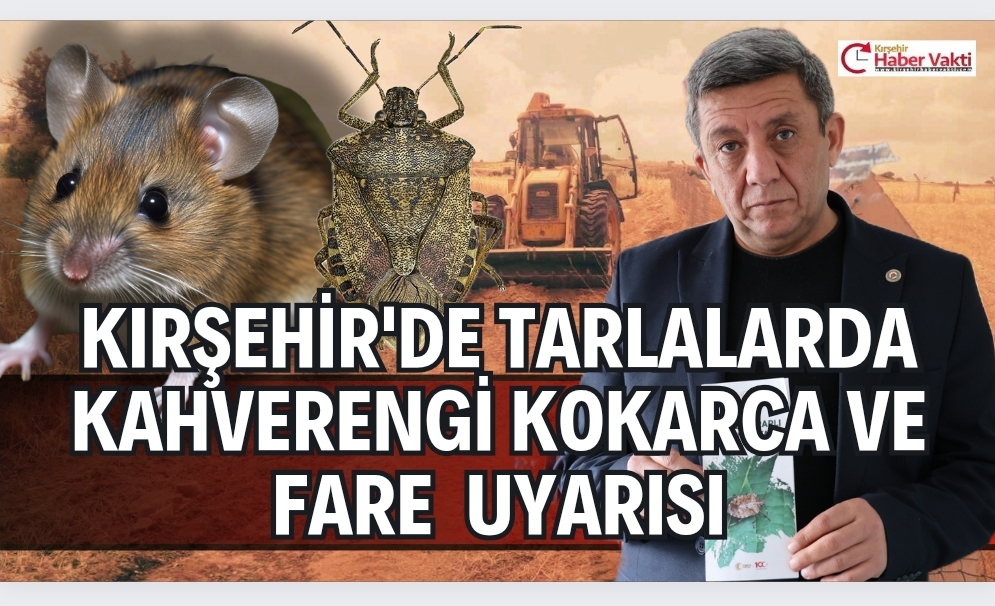 Kırşehir Ziraat Odası Başkanlığı, yılan popülasyonunun az olması nedeniyle çiftçilere