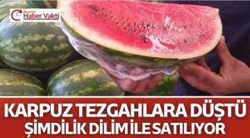 KARPUZ TEZGAHA ÇIKTI
