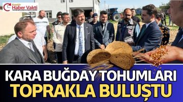KARA BUĞDAYLAR TOPRAKLA BULUŞTU