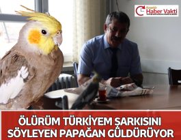 KIRŞEHİR’DE YETENEKLİ PAPAĞAN