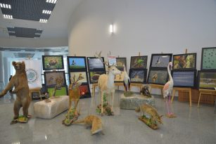 Kırşehir Ahi Evran Üniversitesi; Zootekni Öğrenci Kongresi’ne ev sahipliği yaptı.