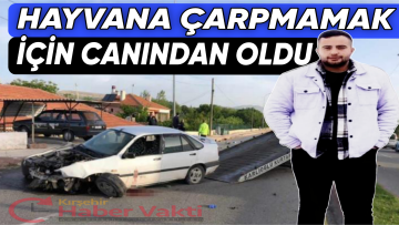 HAYVANA ÇARPMAMAK İÇİN DİREKSİYONU KIRDI HAYATINI KAYBETTİ