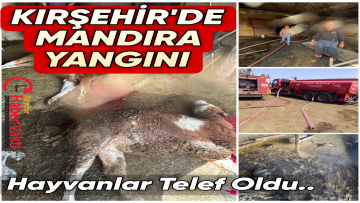 KIRŞEHİR’DE MANDIRA YANGININDA HAYVANLAR TELEF OLDU