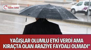 YAĞIŞLAR EKİNLERE YARADI