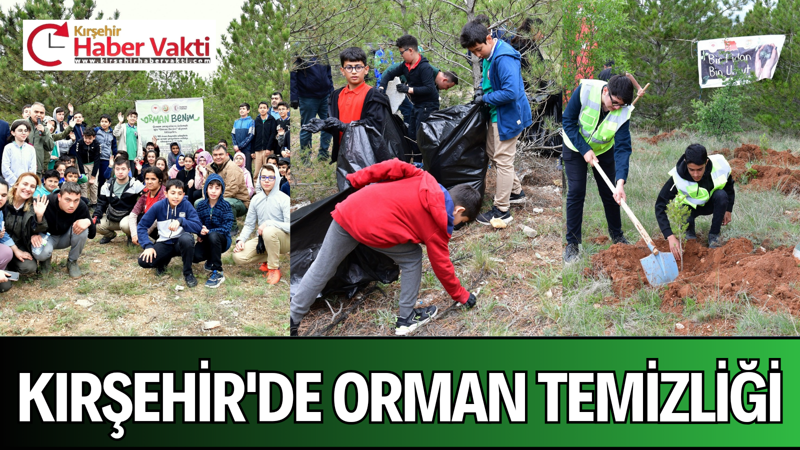 ORMAN TEMİZLİĞİ YAPILDI