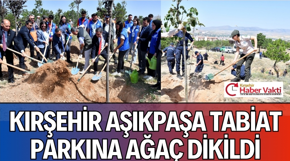 BOZKIR YEŞERİYOR