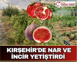 KIRŞEHİR’DE NAR VE İNCİR YETİŞTİRİLDİ