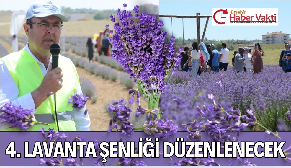 LAVANTA ŞENLİĞİ DÜZENLENECEK.