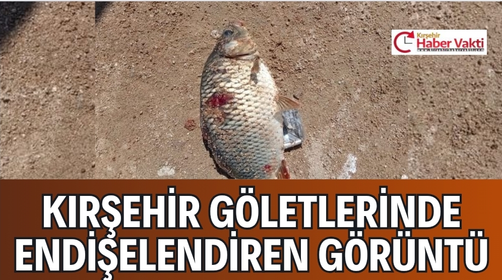 KIRŞEHİR’DE BİLİNÇSİZ BALIK AVI