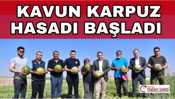 KAVUN KARPUZ HASADINDA YÖRESEL ÇOŞKU
