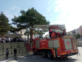 TOPU KURTARMAK İSTERKEN AĞAÇTA KALDI