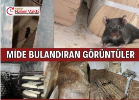 KIRŞEHİR’DE EKMEK FIRININDA FARE