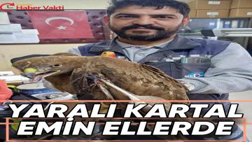 YARALI BULUNAN KARTAL TEDAVİ ALTINDA