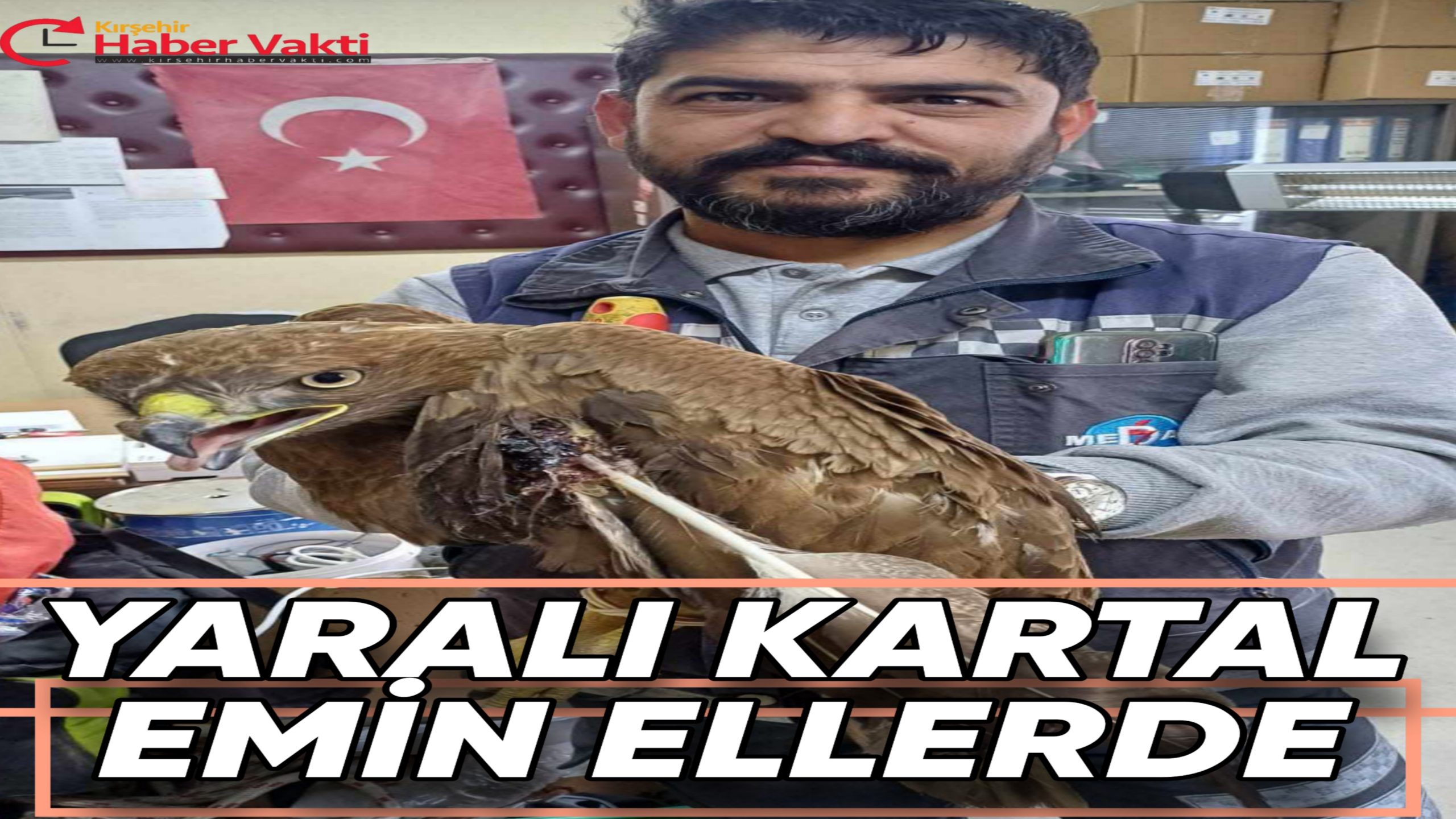 YARALI BULUNAN KARTAL TEDAVİ ALTINDA