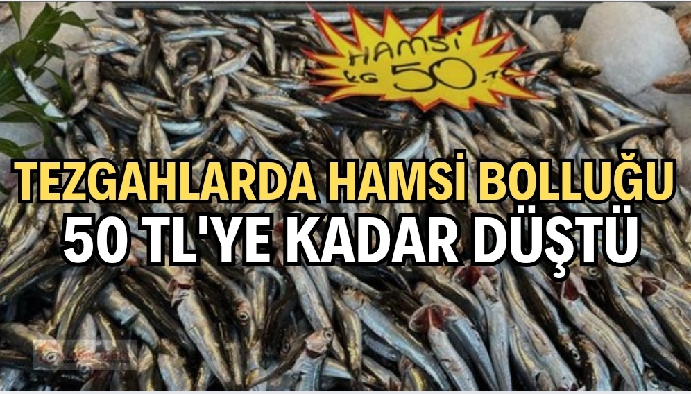Tezgahlarda hamsi bolluğu! Hamsi 50 liraya kadar düştü.
