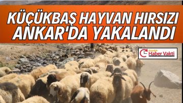Kırşehir’de Hayvan Hırsızlığı Çözüldü: Şüpheli Ankara’da Yakalandı