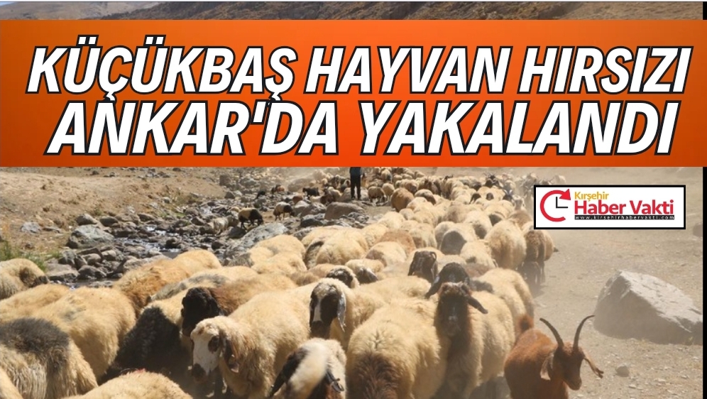 Kırşehir’de Hayvan Hırsızlığı Çözüldü: Şüpheli Ankara’da Yakalandı