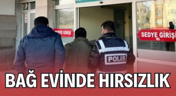 Kırşehir’de bağevinden hırsızlık yapan şahıs tutuklandı.