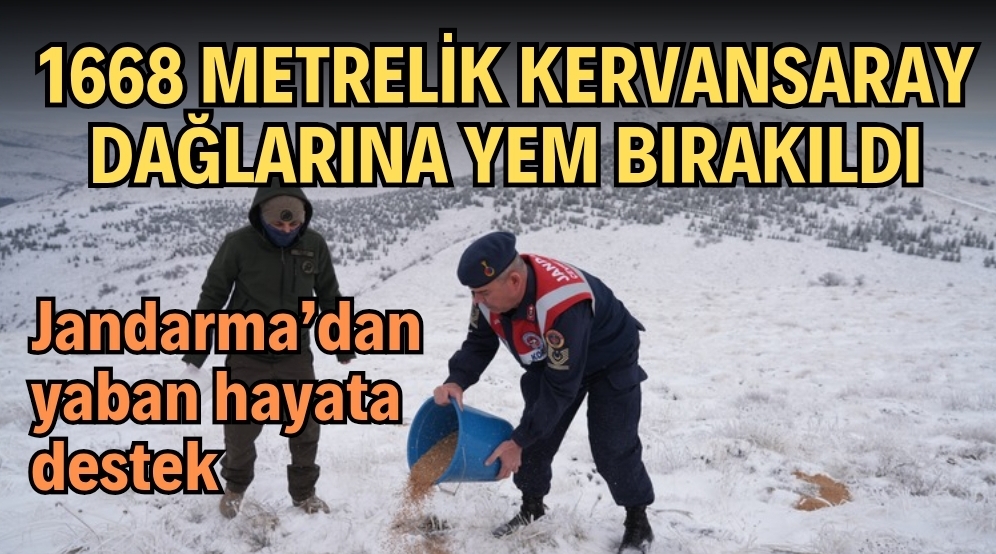 KIRŞEHİR’DE KERVANSARAY DAĞLARINA YEM BIRAKILDI