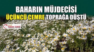 CEMRE TOPRAĞA DÜŞTÜ