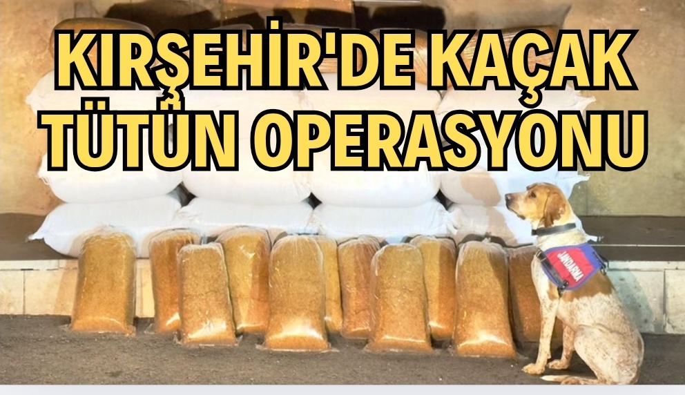 KIRŞEHİR’DE KAÇAK TÜTÜN ELE GEÇİRİLDİ